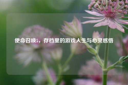 使命召唤5,存档里的游戏人生与心灵感悟