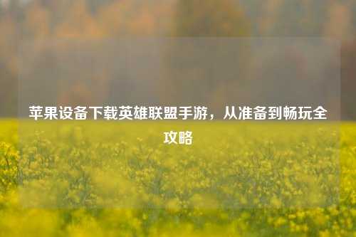 苹果设备下载英雄联盟手游,从准备到畅玩全攻略