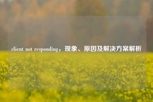 client not responding,现象、原因及解决方案解析