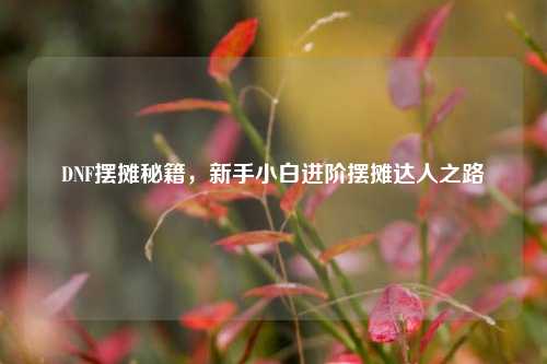 DNF摆摊秘籍，新手小白进阶摆摊达人之路