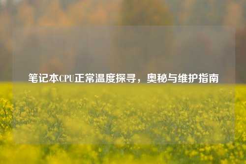 笔记本CPU正常温度探寻，奥秘与维护指南