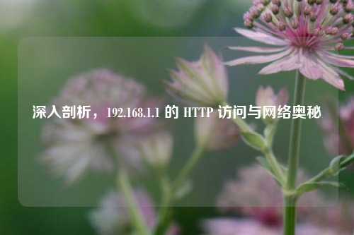 深入剖析，192.168.1.1 的 HTTP 访问与     奥秘