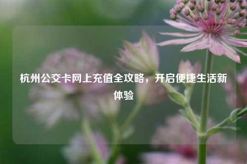 杭州公交卡网上充值全攻略，开启便捷生活新体验