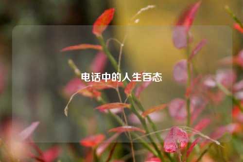      中的人生百态