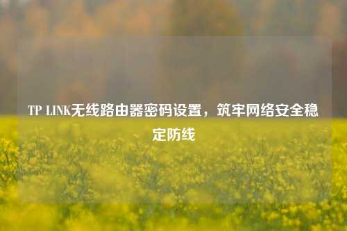 TP LINK无线路由器密码设置，筑牢     安全稳定防线