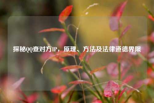 探秘     查对方IP，原理、     及法律道德界限