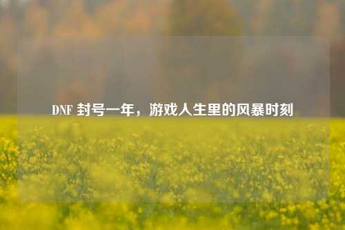 DNF 封号一年，游戏人生里的风暴时刻