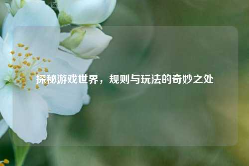 探秘游戏世界，规则与玩法的奇妙之处