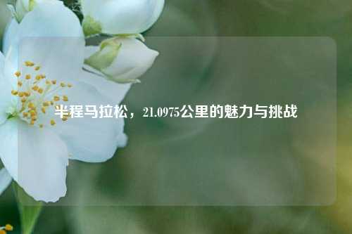 半程马拉松,21.0975公里的魅力与挑战