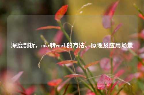 深度剖析,mkv转rmvb的 、原理及应用场景