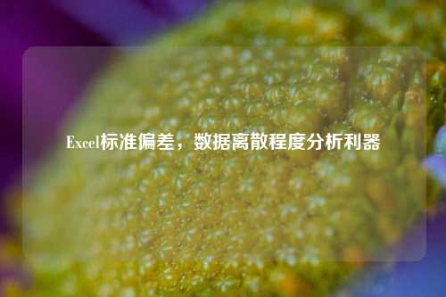 Excel标准偏差,数据离散程度分析利器