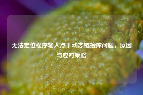 无法定位程序输入点于动态链接库问题，原因与应对策略