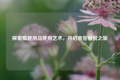 探索     使用艺术，开启亲密愉悦之旅