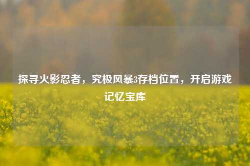 探寻火影忍者，究极风暴3存档位置，开启游戏记忆宝库