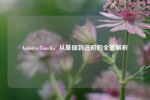AssistiveTouch，从基础到进阶的全面解析