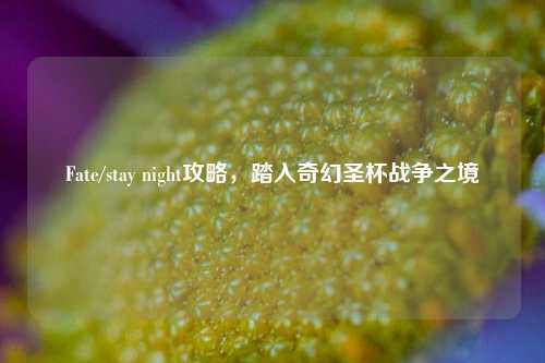 Fate/stay night攻略，踏入奇幻圣杯战争之境