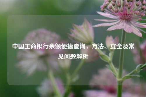中国工商银行余额便捷查询，     、安全及常见问题解析