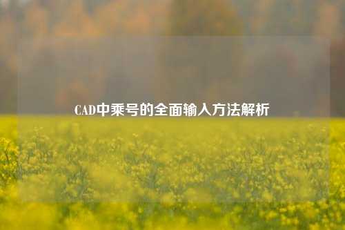 CAD中乘号的全面输入     解析