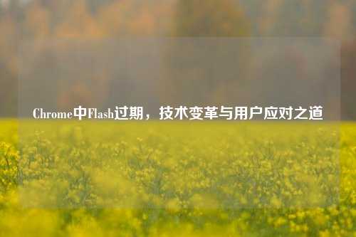 Chrome中Flash过期,技术变革与用户应对之道