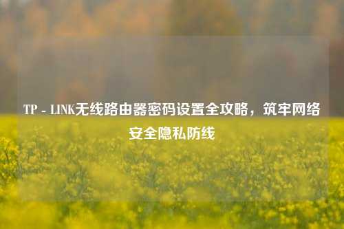 TP - LINK无线路由器密码设置全攻略，筑牢     安全隐私防线