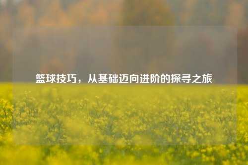 篮球技巧，从基础迈向进阶的探寻之旅