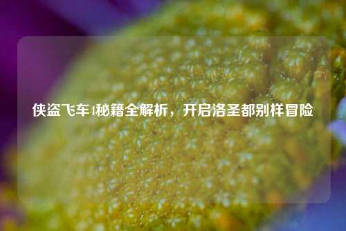 侠盗飞车4秘籍全解析，开启洛圣都别样冒险