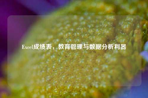 Excel成绩表，教育管理与数据分析利器