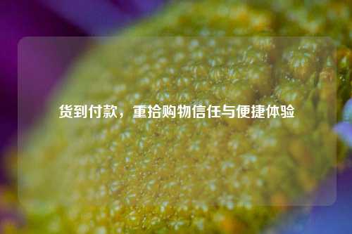 货到付款，重拾购物信任与便捷体验