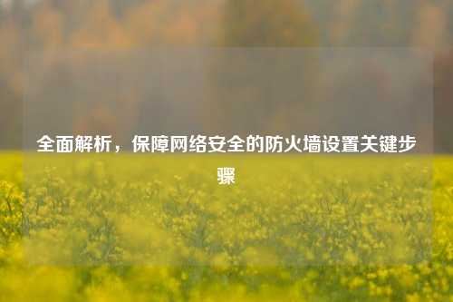 全面解析，保障     安全的防火墙设置关键步骤