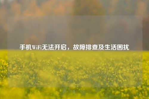 手机WiFi无法开启，故障排查及生活困扰