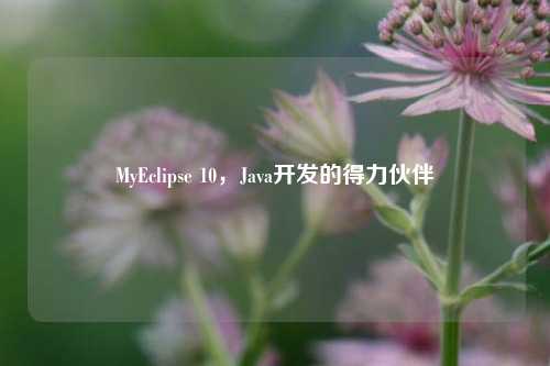 MyEclipse 10，Java开发的得力伙伴