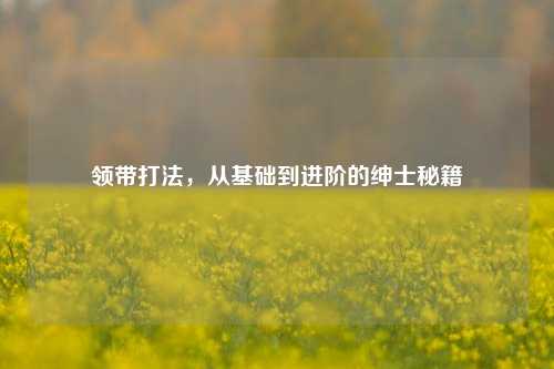 领带打法，从基础到进阶的绅士秘籍