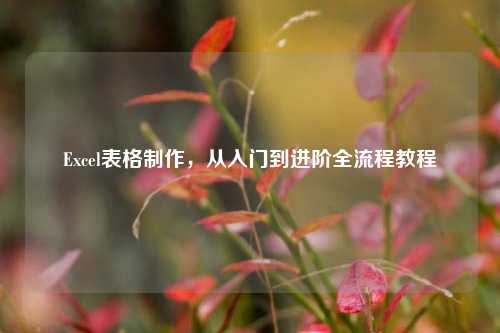Excel表格     ，从入门到进阶全流程教程