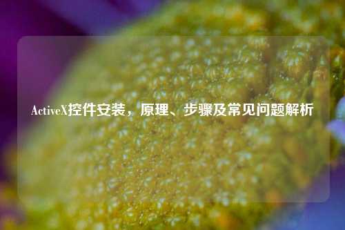 ActiveX控件安装，原理、步骤及常见问题解析