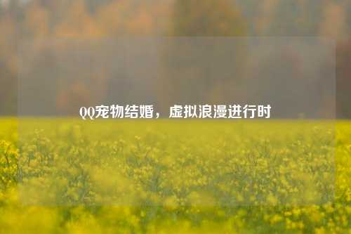 宠物结婚,虚拟浪漫进行时