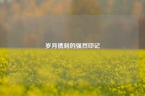岁月镌刻的强烈印记