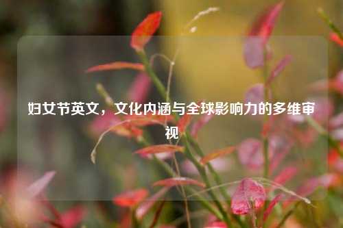 妇女节英文,文化内涵与全球影响力的多维审视