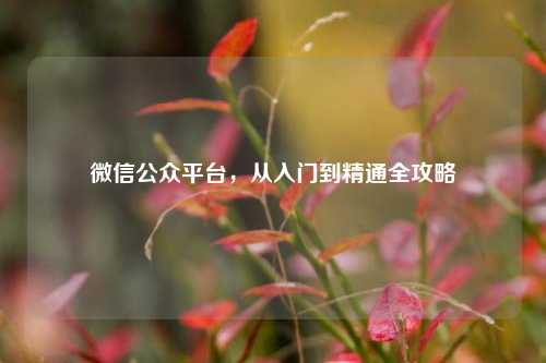 微信公众平台，从入门到精通全攻略