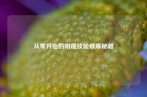 从零开始的附魔技能修炼秘籍