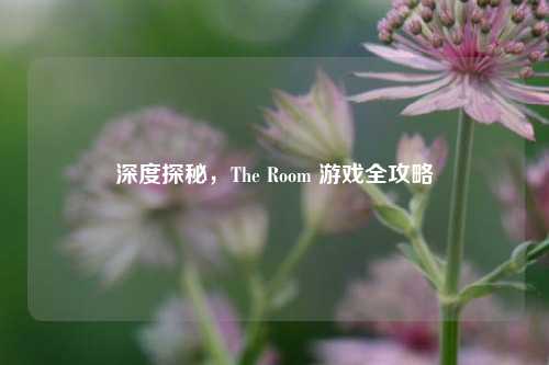 深度探秘，The Room 游戏全攻略