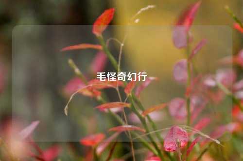 毛怪奇幻行