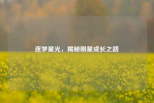 逐梦星光,揭秘明星成长之路