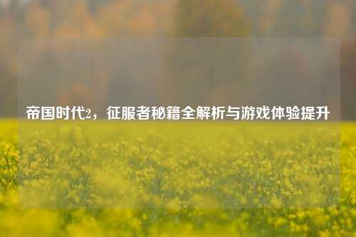 帝国时代2，征服者秘籍全解析与游戏体验提升