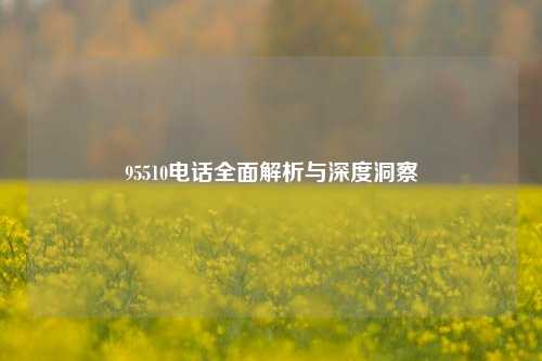 95510     全面解析与深度洞察
