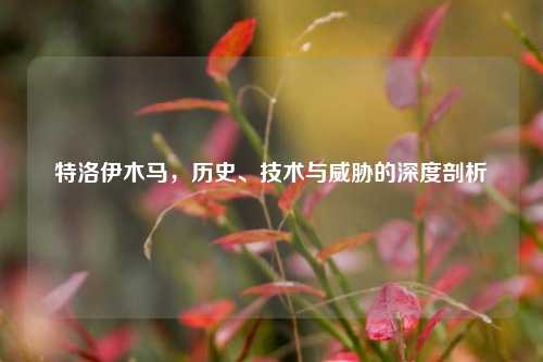 特洛伊木马，历史、技术与威胁的深度剖析