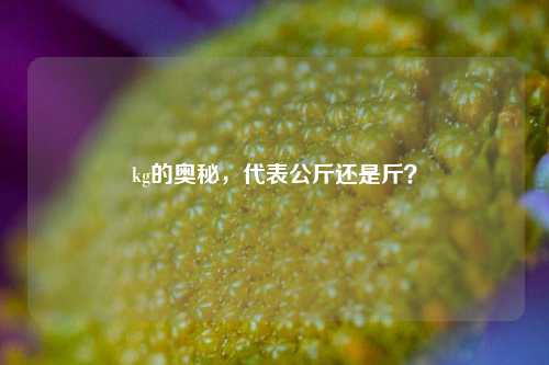 kg的奥秘，代表公斤还是斤？