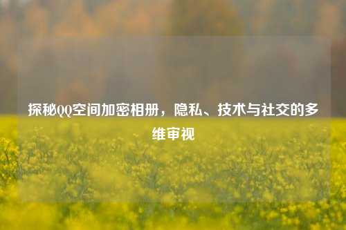 探秘     空间加密相册，隐私、技术与社交的多维审视