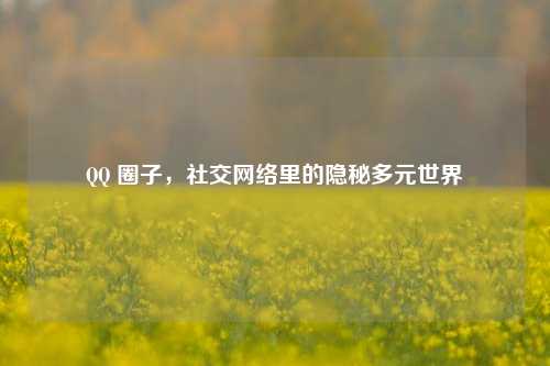 圈子,社交 里的隐秘多元世界