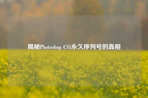 揭秘Photoshop CS5永久序列号的真相