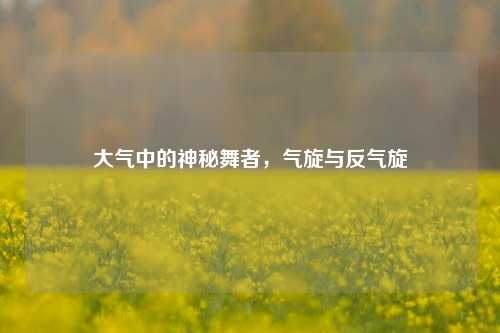 大气中的神秘舞者,气旋与反气旋